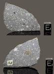 ALLENDE - Fall 8 February 1969, Chihuahua, Mexico. Carbonaceous Chondrite CV3. Total mass 2 tons. - Slice with crust gr.13.8 - € 500,00