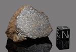 SALAICES - Found 1971, Chihuahua, Mexico. Chondrite H4. Total mass 24.5 kg. - End piece gr.47.7 - € 316,25