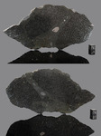 Tassédet 004 - Found 2016, Agadez, Nigeria, Africa. Chondrite H5 Impact Melt Breccia. Total mass 405 kg. - Slice gr.209 - € 1.030,00