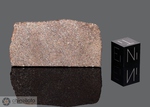 NWA 725 - Recuperata nel 2000, Tissemoumine, Marocco, Africa. Achondrite Winonaite. Massa totale recuperata 3824 grammi. Pezzo in collezione: fetta gr.5 (McM385)