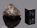 NWA 13790 - Recuperata nel 2020, Marocco, Africa. Achondrite Winonaite. Massa totale recuperata 838 grammi. Campione in collezione: frammento gr.11.357 (McM751)
