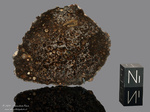 NWA 15337 - Recuperata nel 2021, Marocco, Africa. Chondrite carbonacea CK3. Massa totale 320 grammi. Campione in collezione: fetta gr.12.7 (McM822)