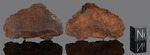 SIKHOTE ALIN - Fall 12 February 1947, Maritime Territory, Federated SSR, URSS. Iron Octahedrite IIB. Total mass 23000 kg.+. - Fragment gr.32.8 - € 131,20