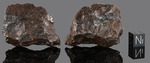 SIKHOTE ALIN - Fall 12 February 1947, Maritime Territory, Federated SSR, URSS. Iron Octahedrite IIB. Total mass 23000 kg.+. - Fragment gr.125.7 - € 377,00