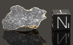 NWA 11228 