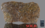 NWA 15953 - Found 2022, Algeria, Africa. Achondrite Diogenite. Total mass 6.32 kg. - Slice gr.45.531 