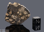 NWA 11576 - Recuperata nel 2017, Marocco, Africa. Achondrite Eucrite breccia liquefatta. Massa totale recuperata 18 kg. Campione in collezione: fetta gr.10.582 (McM749)
