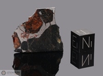 AHUMADA - Recuperata nel 1909, Chihuahua, Messico. Pallasite. Massa totale recuperata 52.6 kg. Pezzo in collezione: fetta gr.5.4 (McM552) 