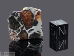 ALBIN - Recuperata nel 1915, riconosciuta nel 1935, Contea Laramie, Wyoming, USA. Pallasite. Massa totale recuperata 37.6 kg. Pezzo in collezione: fetta gr.8.29 (McM003) 