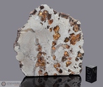 BRAHIN - Recuperata nel 1810, Minsk, Gonel Province, Bielorussia, Russia. Pallasite. Massa totale recuperata 823 kg. Pezzo in collezione: fetta con figure di Widmanstatten gr.260 (McM465)