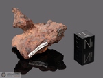 GLORIETA MOUNTAIN - Recuperata nel 1884, Canoncito, Contea Santa Fe , Nuovo Messico, USA. Pallasite. Massa totale recuperata 147.6 kg. Pezzo in collezione: frammento gr.37.8 (McM098)