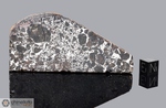 SEYMCHAN - Recuperata nel 1967, Seymchan, Distretto Magadan, Russia. Pallasite. Massa totale recuperata 362.3 kg. Pezzo in collezione: fetta con olivine e matrice simile a mesosiderite gr.63.3 (McM646)