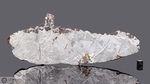 SEYMCHAN - Recuperata nel 1967, Seymchan, Distretto Magadan, Russia. Pallasite.Massa totale recuperata 362.3 kg. Pezzo in collezione:fetta gr.327 (McM621) 