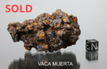 VACA MUERTA