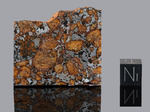 Hassi el Biod 002 - Found 2021, Ouargla, Algeria. Pallasite, ungrouped. Total mass 10 kg. - Slice gr.20.31 - € 1.200,00