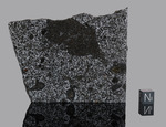 TANEZROUFT 091 - Found 2020, Adrar, Algeria, Africa. Mesosiderite. Total mass 4.99 kg. - Slice gr.56.3 - € 450,00