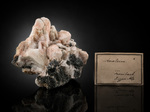 Analcime - Buco dell'Inferno, Castelrotto, Salto-Sciliar, Alto Adige (Provincia Autonoma di Bolzano-Alto Adige), Trentino-Alto Adige, Italia - Campione di 75,6 x 64,84 mm con cartiglio storico ex collezione F.Krantz - € 40,00