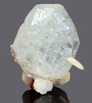Berillo var. Acquamarina - Pingwu beryl mine, Huya township, Mount Little Xuebaoding, Pingwu Co., Mianyang, Sichuan, Cina - Campione di 81.61x64.28 mm, cristallo di 66.9 mm - € 60,00