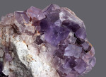 Fluorite - Berbes mining area, Ribadesella, Asturias, Spagna - Campione di 114.97x111.93- Area con cristalli di 82.11 mm € 50,00