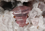 PEZZOTTAITE - Sakavalana mine, Ambatovita, Mandrosonoro Commune, Ambatofinandrahana District, Amoron'i Mania Region, Fianarantsoa Province, Madagascar Campione di 28,80x32,68 mm con gruppo di cristalli di Pezzottaite di 13,82 mm - € 1.750,00