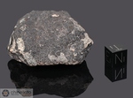 ALLENDE - Fall 8 February 1969, Chihuahua, Mexico. Carbonaceous Chondrite CV3. Total mass 2 tons. Specimen in collection: fragment with crust gr.85.73 (McM007)