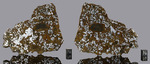El Eglab 001 - Found 2023, Tindouf, Algeria, Africa. Mesosiderite. Total mass 32.71 kg. Slice gr.102.7 - € 878,00