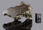 NWA 869 - Found 2000, Erfoud, Morocco, Africa. Chondrite L4/6. Total mass over 2000 kg. - Fragment gr.73.4 - € 73,40