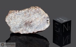 DHOFAR 700 - Recuperata 15 Novembre 2002, Oman. Achondrite Diogenite. Massa totale recuperata 2770 grammi. Pezzo in collezione: fetta gr.6.35 (McM580)