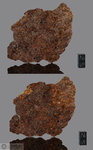 NWA 15953 - Recuperata nel 2022, Marocco, Africa. Acondrite diogenite. Massa totale 6.32 kg. Campione in collezione: Fetta 24.266 grammi - McM795