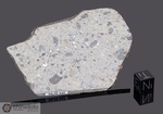 DAR AL GANI 669 - Recuperata nel 1999, Dar Al Gani, Libia. Achondrite Howardite. Massa totale recuperata 926 grammi. Pezzo in collezione: fetta con crosta gr.35.8 (McM445)