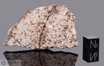 CERRO CUADRADO - Recuperata nel 1998, Santa Cruz, Argentina. Chondrite L6. Massa totale recuperata 8.3 kg. Pezzo in collezione: fetta gr.22.3 (McM636) 