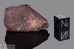 HAMILTON (Queensland) ex DIRRANBANDI - Recuperata nel 1966, Balonne River, vicino Dirranbandi, Australia. Chondrite L6. Massa totale recuperata 68 kg. Pezzo in collezione: fine pezzo gr.19.3 (McM427) 