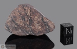 NWA 1272 - Recuperata nel 2002, Erfoud, Morocco, Africa. Chondrite L4/5. Massa totale recuperata 93.6 grammi. Pezzo in collezione: fine pezzo gr.66 (McM521) 