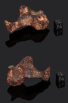 MUNDRABILLA – Found 1911, Nullarbor Plain, Australia. Iron Octahedrite IAB-Ung. Total mass 24 tons. - Individual gr.114.5 - € 366,40
